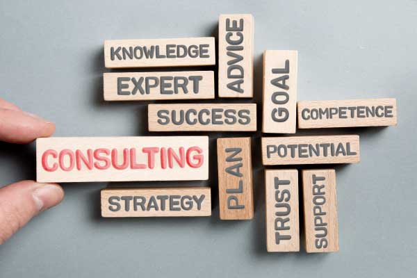 Business Consultation